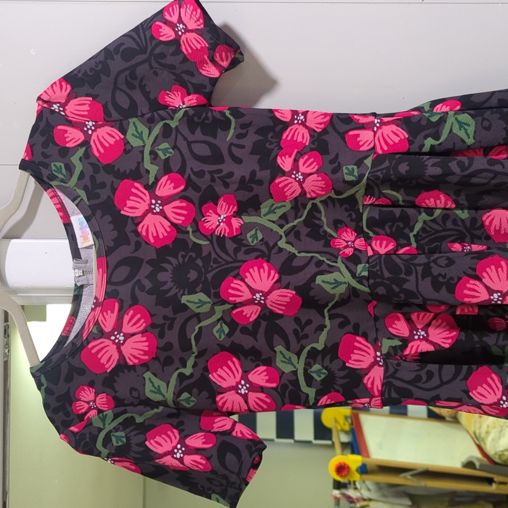 LuLaRoe Amelia dress size L